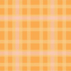 Spring Fling Plaid - Sherbert