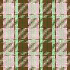 Sugar Plum Plaid - Candy Kitchen