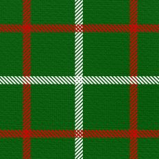 Sugar Plum Plaid - Holly Berry