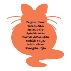 Cat shape World Meows. Sketch pen and Cut