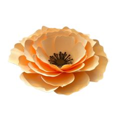 3D Peach Flower
