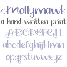 ZP Mollymawk Light