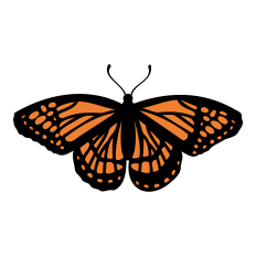 Monarch Butterfly