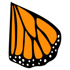 Monarch Butterfly