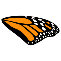 Monarch Butterfly