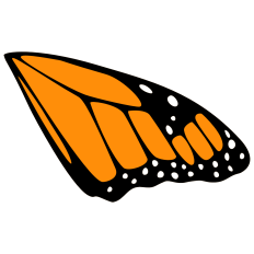 Monarch Butterfly