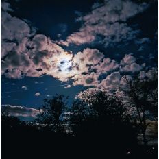 Moonlight Background