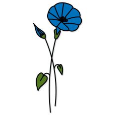 Morning Glory Birth Flower