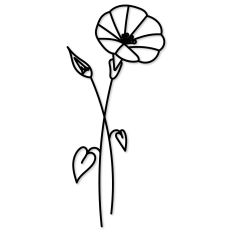 Morning Glory Birth Flower Outline