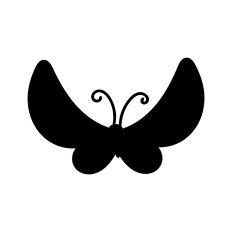 moth