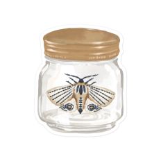 Moth in a Jar