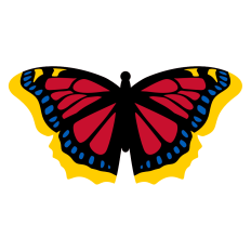 Mourning Cloak Butterfly