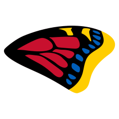 Mourning Cloak Butterfly
