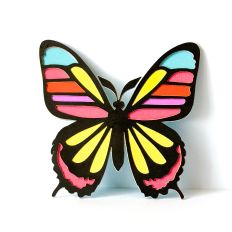 Colorful Butterfly