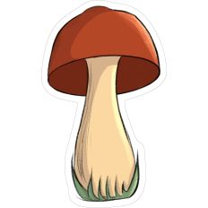 Mushroom