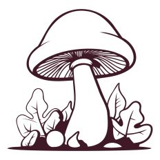 Mushroom 3 Lines