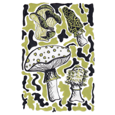 Mushroom Sticker Sheet 1