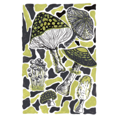Mushroom Sticker Sheet 2