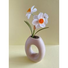 Narcissus