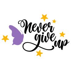 Never Give Up Butterfly Quote