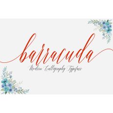 Barracuda Script
