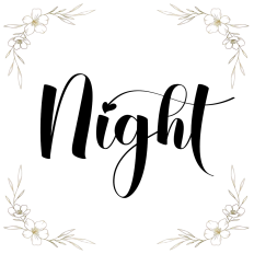 Night Handwritten Font
