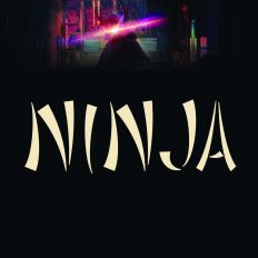 Ninja japan style font