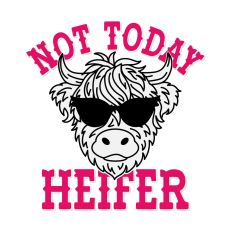 Not Today Heifer