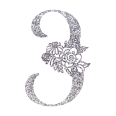 Number Three Floral Monogram