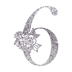 Number Six Floral Monogram