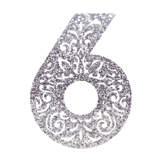 Number Six Paisley Monogram