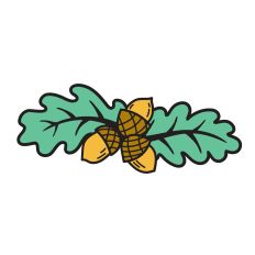 Oak Leaves and Acorns