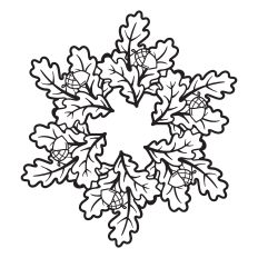 Oak leaves frame