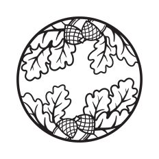 Oak tree leaves
