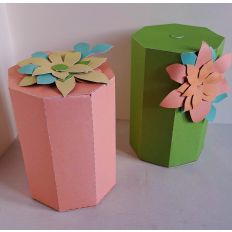 Spring Octagonal Box