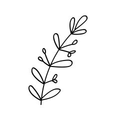 Hand-Drawn Olive Branch SVG – Stylized Botanical Filler for Cricut & Silhouette