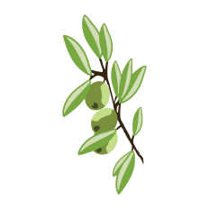 Olive Branch - Layered Cut Design