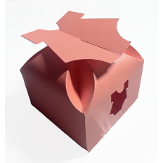 Baby Onesie Petal Box