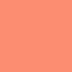 Orange Coordinating Solid Background Pattern