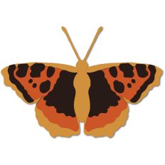 Orange and Black Moth