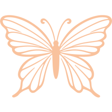 spring butterfly outline