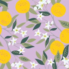Cute Blooming Oranges 