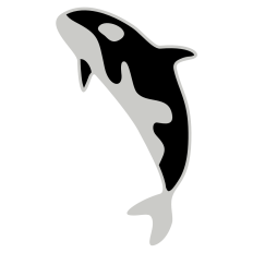 Orca Whale