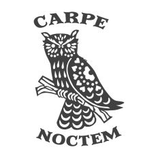 Owl carpe noctem