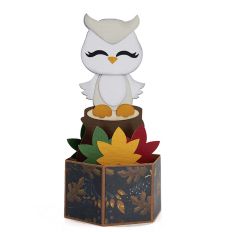 Owl Pop Up Card