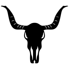 Ox Skull