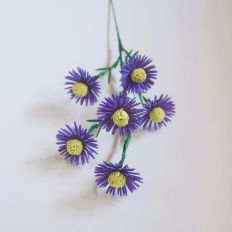 New England Aster