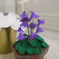 Alpine Snowbell