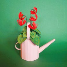 Cyclamen + Petit Arrosoir