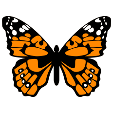 Painted Lady Butterfly